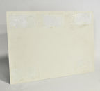 Sandstone DANGER Invisible LASER RADIATION SIGN Class 4 Erbium 1540 nm Plastic
