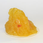 Eliminate Stubborn FAT SAMPLE Office Patient Demo Prop Cellulite Consulting