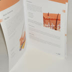 Asclepion Laser Technologies TattooStar Q-Switched Training Fractional Manual