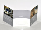 Asclepion Laser The ASCLEPION EFFECT Hair Removal Patient Brochure (x30 Pcs)