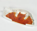 Palomar ICON Laser Left Side Handpiece Housing White Shell Case Hand Piece PARTS