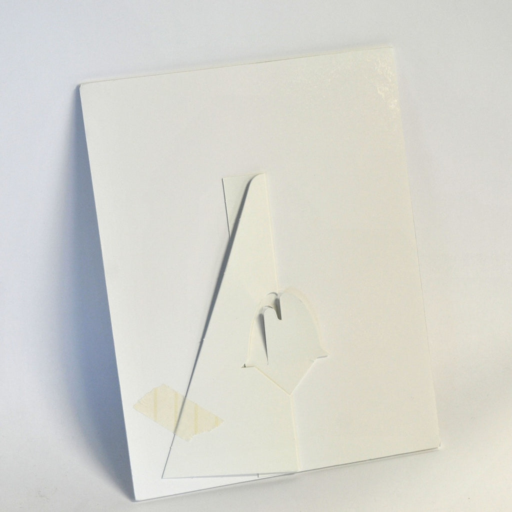 VIVACE Cartessa LOVE THE SKIN YOU'RE IN Office Marketing Brochure RF Microneedle