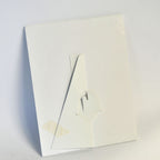 VIVACE Cartessa LOVE THE SKIN YOU'RE IN Office Marketing Brochure RF Microneedle