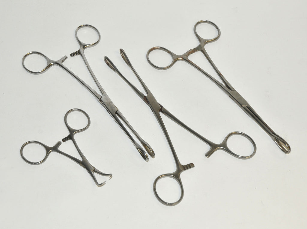 Stainless Steel Surgical Instrument Tongue Holding Forceps Mouth Towel Clamp x4