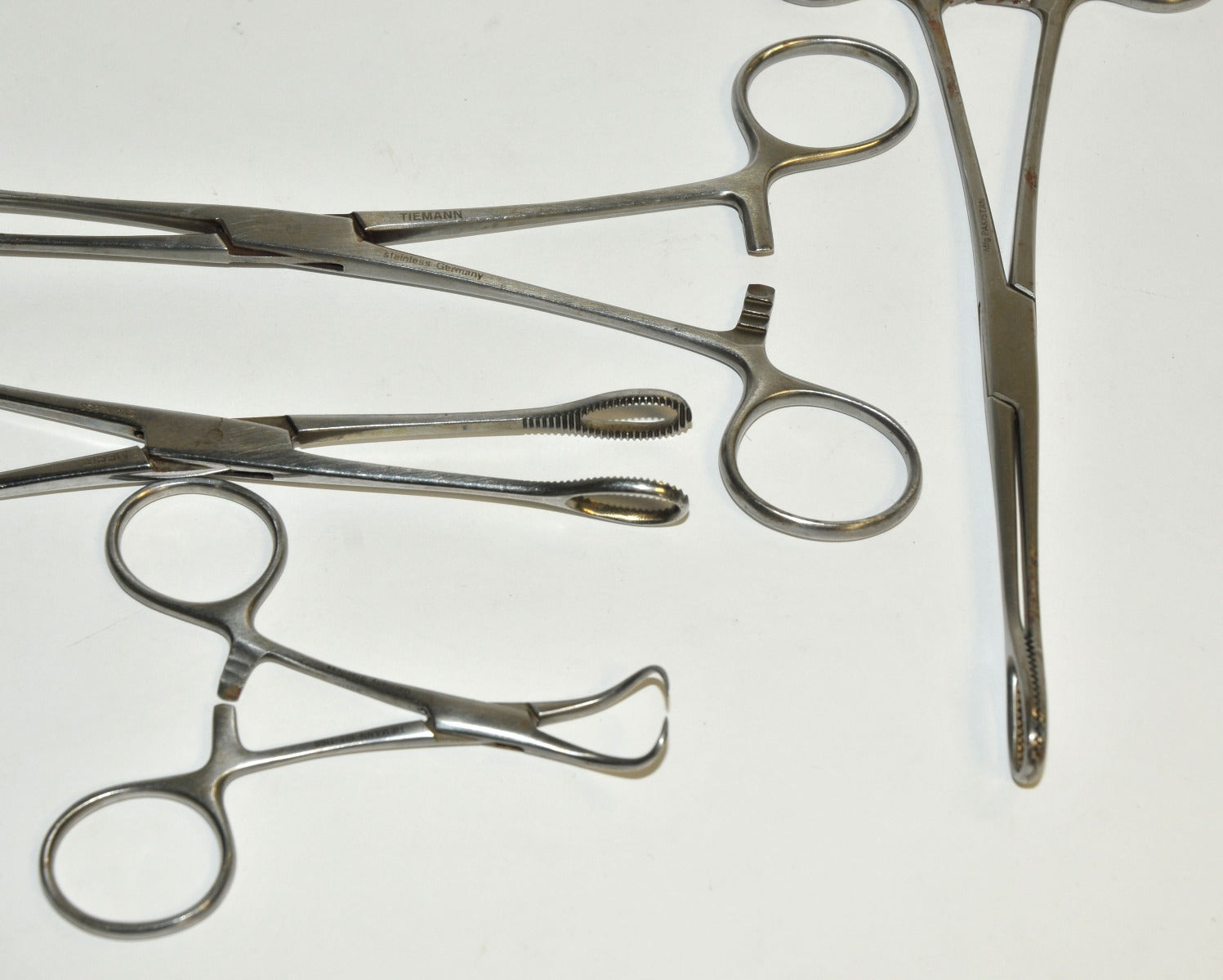 Stainless Steel Surgical Instrument Tongue Holding Forceps Mouth Towel Clamp x4