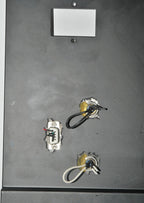 Ellman Sandstone Tri-Lase Laser REAR COVER PANEL INTERLOCK Fans * PARTS * AS-IS