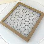 Cutera TruSculpt 12 x 12 Air Filter Unit G 8 Glasfloss