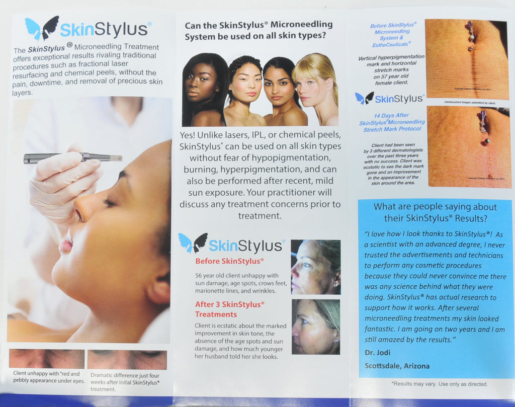 SkinStylus 1 Pen Silver Microtherapy Professional Kit Beautiful Skin Stylus DEMO