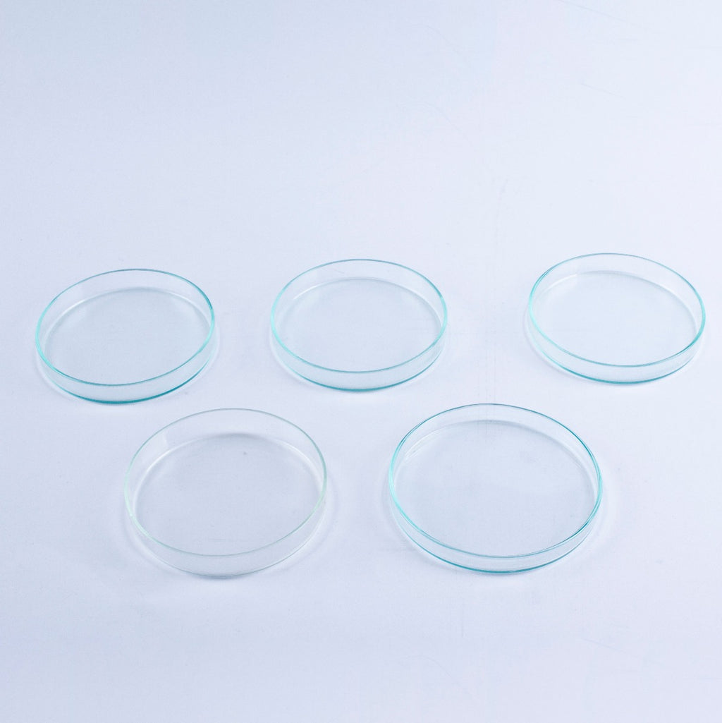 Lot of 5 Anumbra Glass Petri Dishes Mixed Sizes No Lids 90x15 90x12 95x10