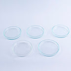 Lot of 5 Anumbra Glass Petri Dishes Mixed Sizes No Lids 90x15 90x12 95x10