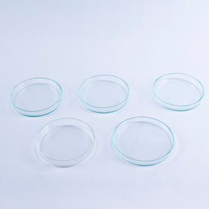 Lot of 5 Anumbra Glass Petri Dishes Mixed Sizes No Lids 90x15 90x12 95x10