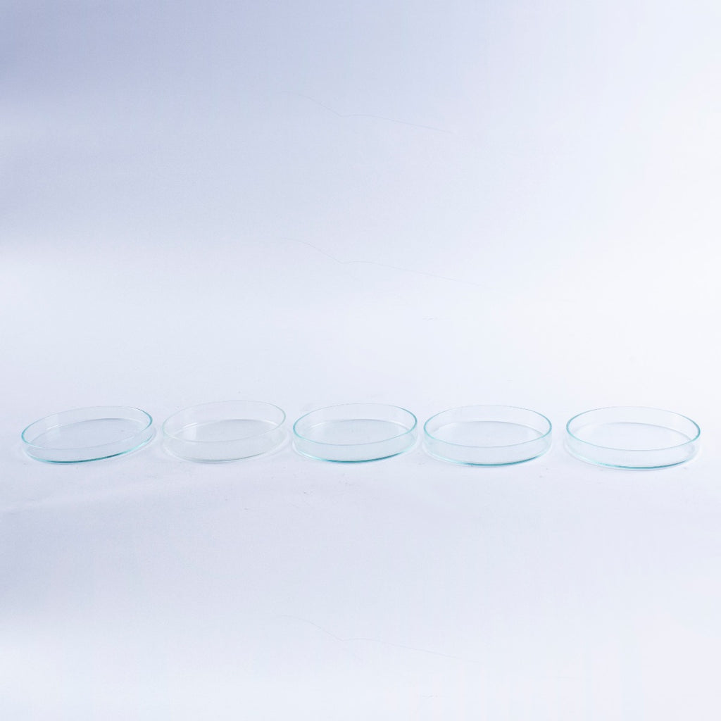 Lot of 5 Anumbra Glass Petri Dishes Mixed Sizes No Lids 90x15 90x12 95x10