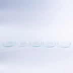 Lot of 5 Anumbra Glass Petri Dishes Mixed Sizes No Lids 90x15 90x12 95x10