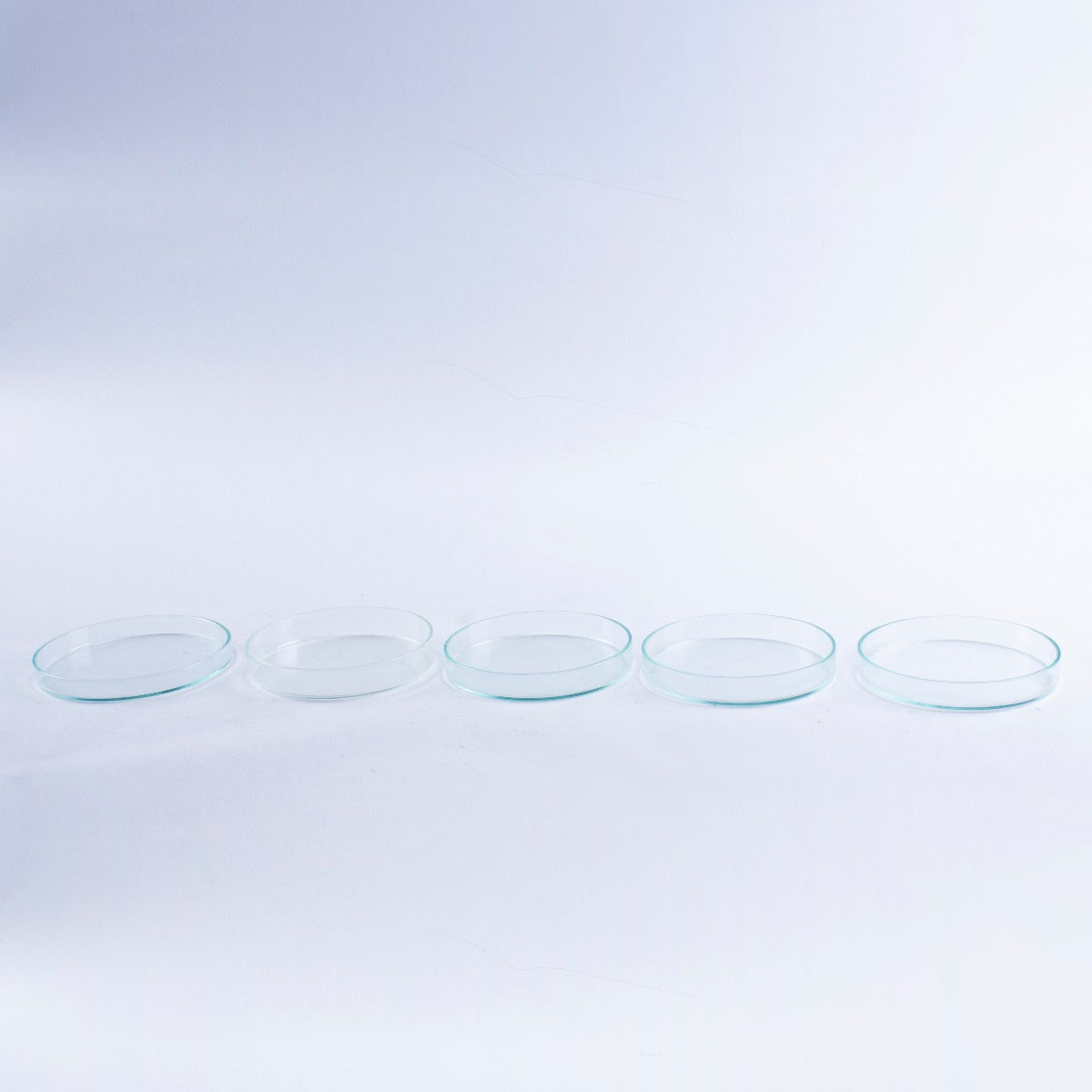 Lot of 5 Anumbra Glass Petri Dishes Mixed Sizes No Lids 90x15 90x12 95x10