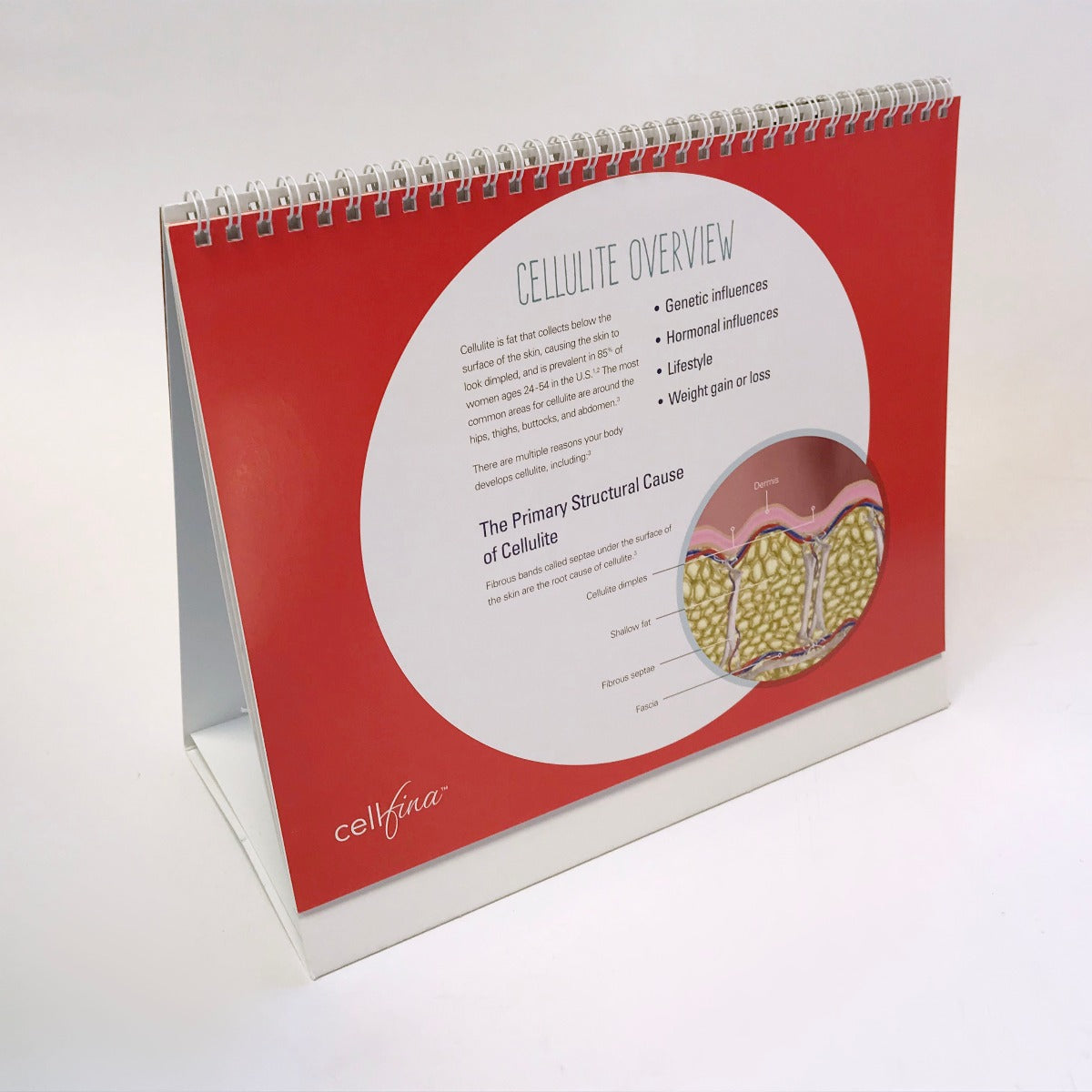 Ulthera Merz Cellfina Cellulite Subcision Patient Consultation Guide Flip Book
