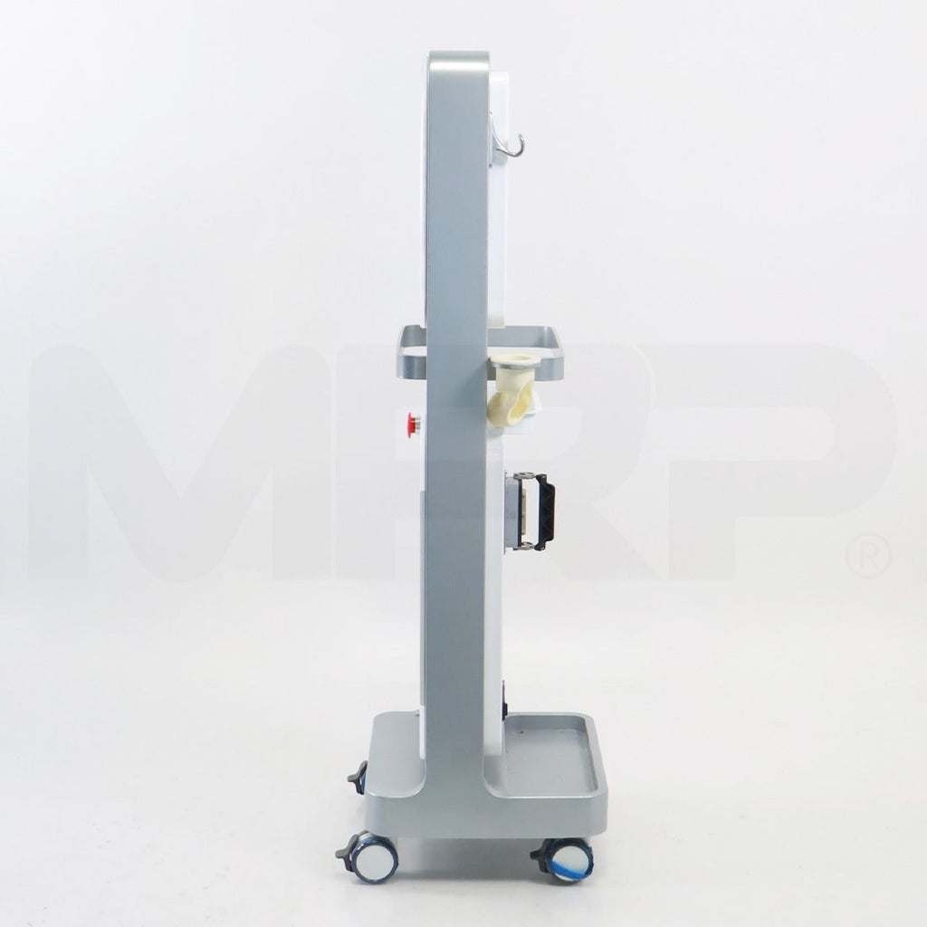 2021 SHEnB Vivace Fractional RF Microneedling Skin Tightening System
