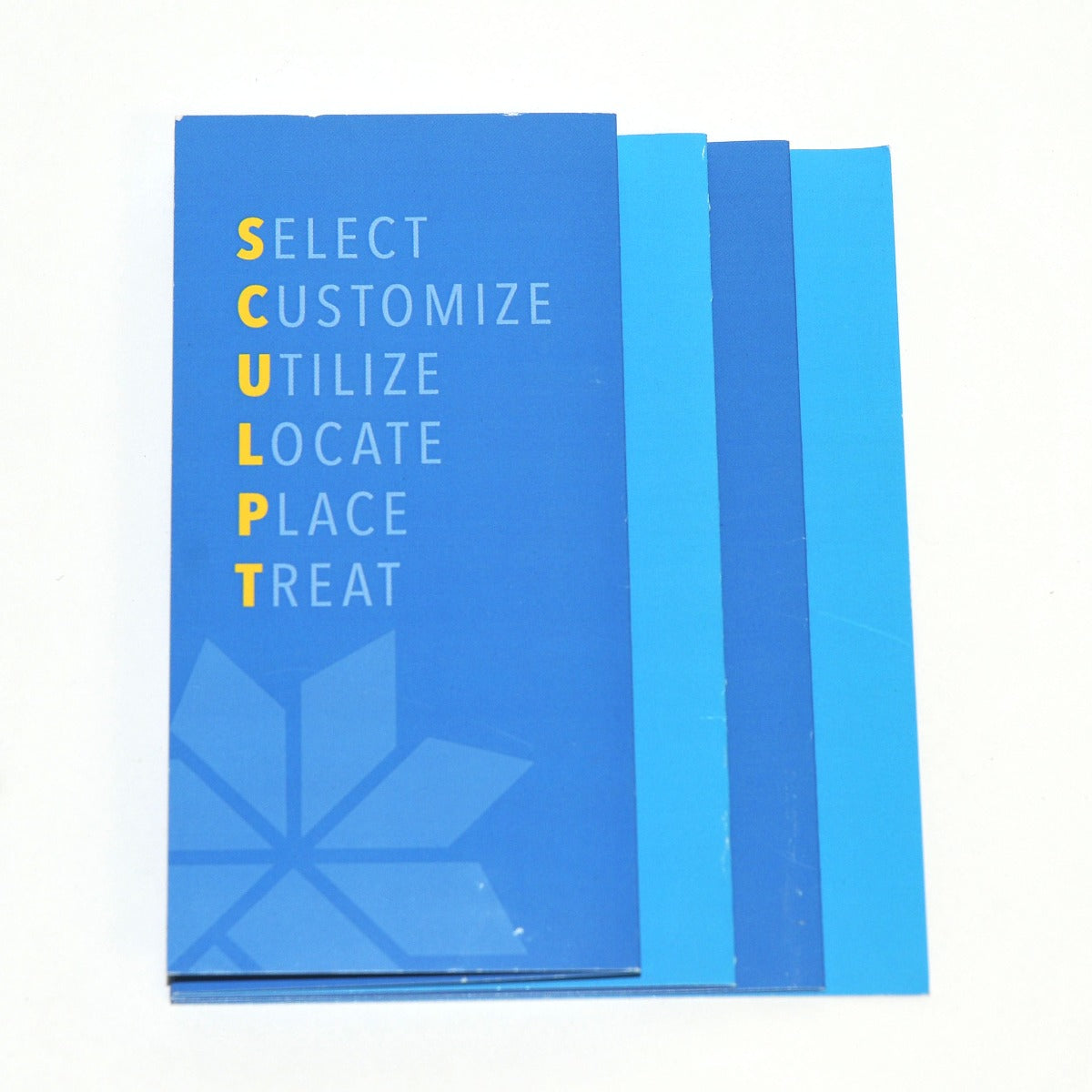ZELTIQ CoolSculpting CoolSmooth Patient Info Pamphlet Brochure Guide IC2130-C